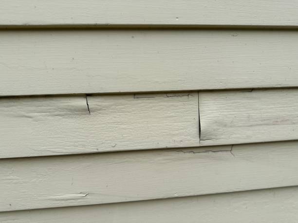 Best Historical Building Siding Restoration  in Smithville Sanders, IN